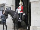 PICTURES/London - The Household Cavalry Museum/t_IMG_8678.JPG
